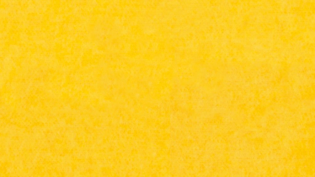 PM805 Yellow