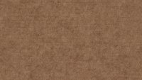 PM844 Sepia