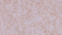 PM804 Sand