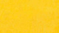 PM805 Yellow