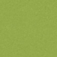 vitAcoustic 9mm PET Akustik Wand-Fliesen 120x60cm PM843 Spring Green Standard