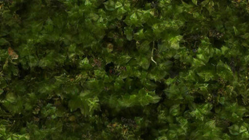 vitAcoustic 3d-frames - hochwertige Akustik Absorber für die Wand PMHL26 Moss Hill green 800x400mm 45mm NBAC Bambus coffee