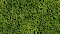 vitAcoustic 3d-frames - hochwertige Akustik Absorber für die Wand PMEG15 Moss Apple green 800x400mm 85mm NBAC Bambus coffee