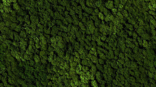 vitAcoustic 3d-frames - hochwertige Akustik Absorber für die Wand PMEG26 Moss green 800x400mm 85mm NBAC Bambus coffee
