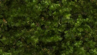 vitAcoustic 3d-frames - hochwertige Akustik Absorber für die Wand PMHL26 Moss Hill green 1200x400mm 85mm NBAN Bambus hell