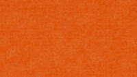 Akustik Wand Paneele 1200x600mm schallschluckend und wärmeisolierend PM846 Orange