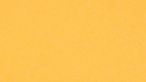PM805 Yellow