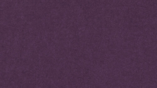 PM850 Purple