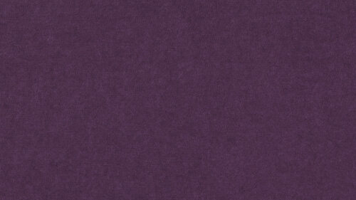 PM850 Purple