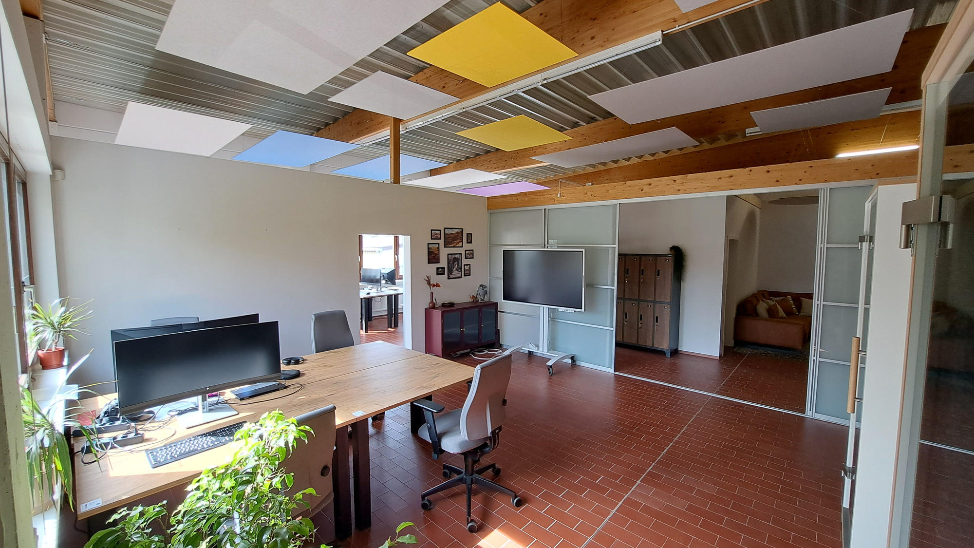 Yellow White Pflanzen