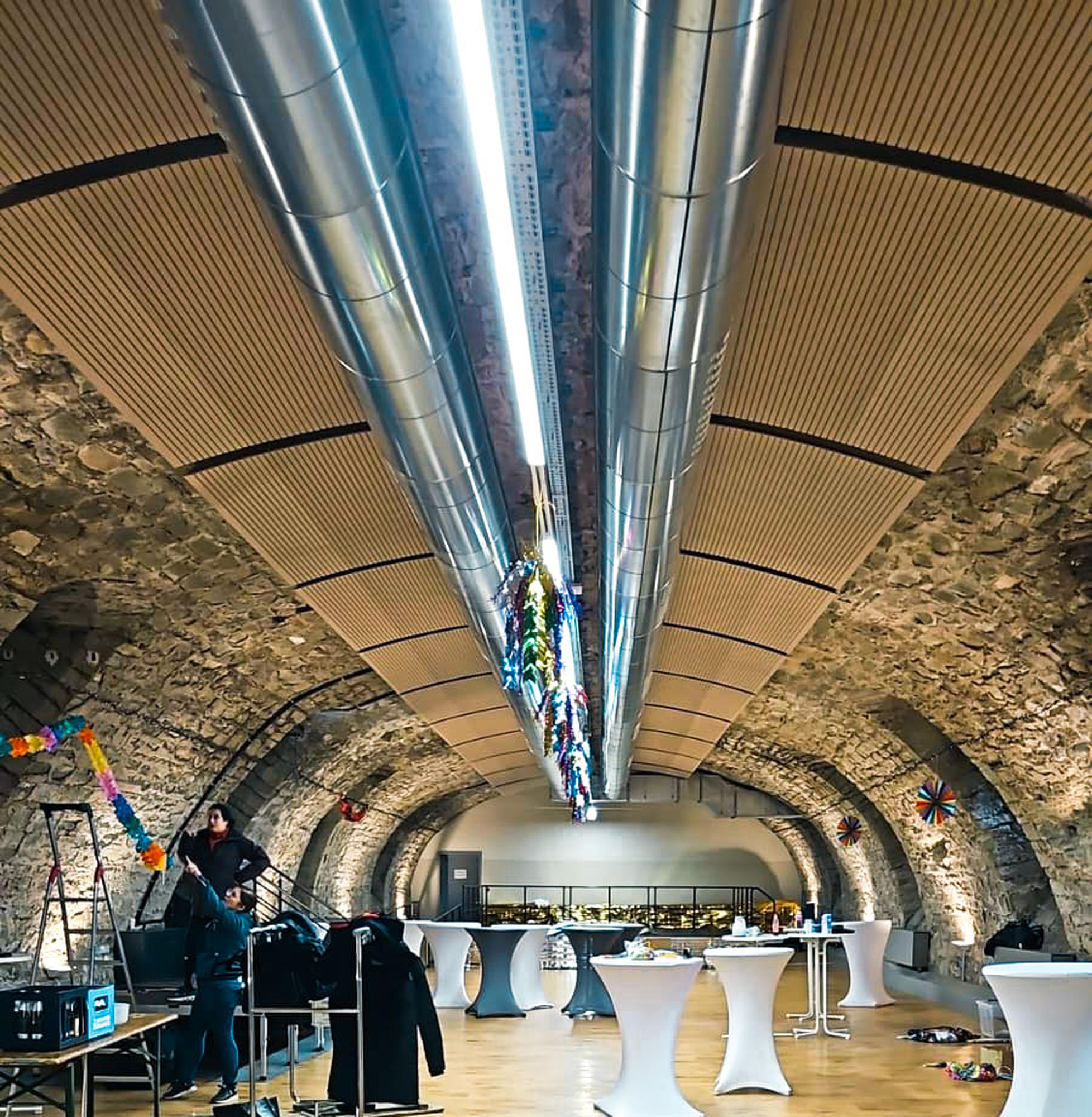 vitAcoustic 3D-Wave Deckenpaneele im Gewölbekeller