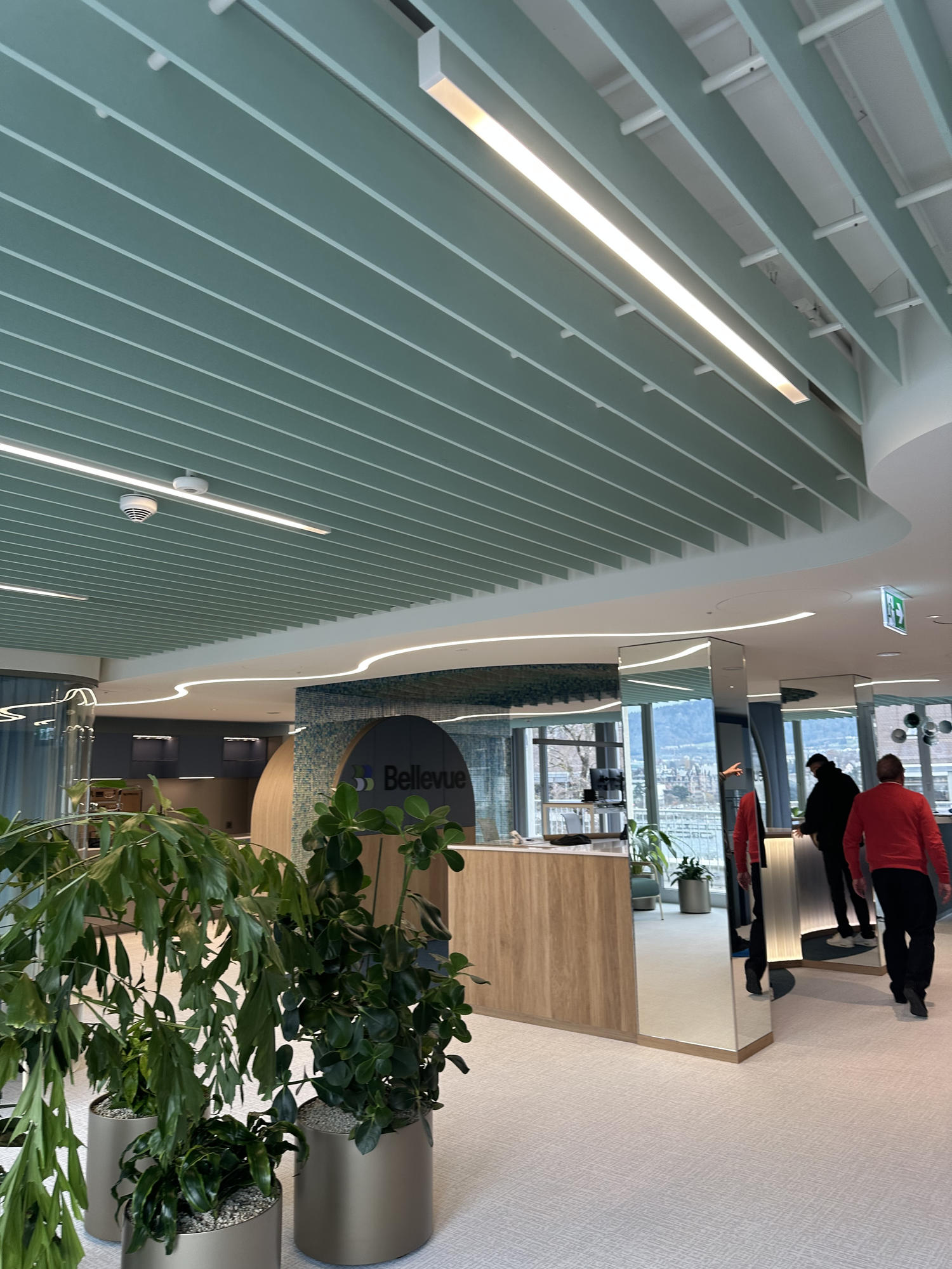 Rezeption PET-Baffeln Mint