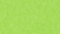 PM851 Green Extended
