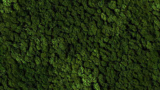 PMEG26 Moss green