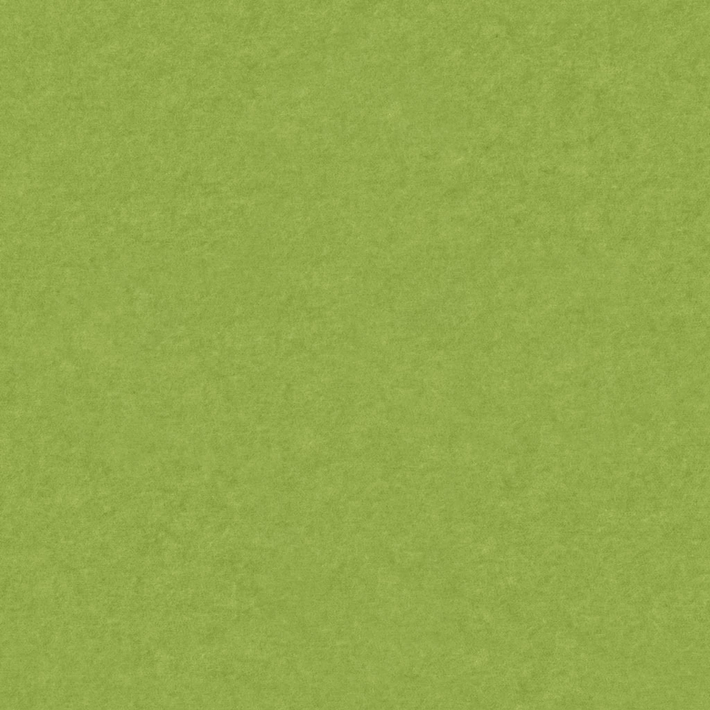 PM843 Spring Green Standard