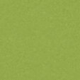PM843 Spring Green Standard