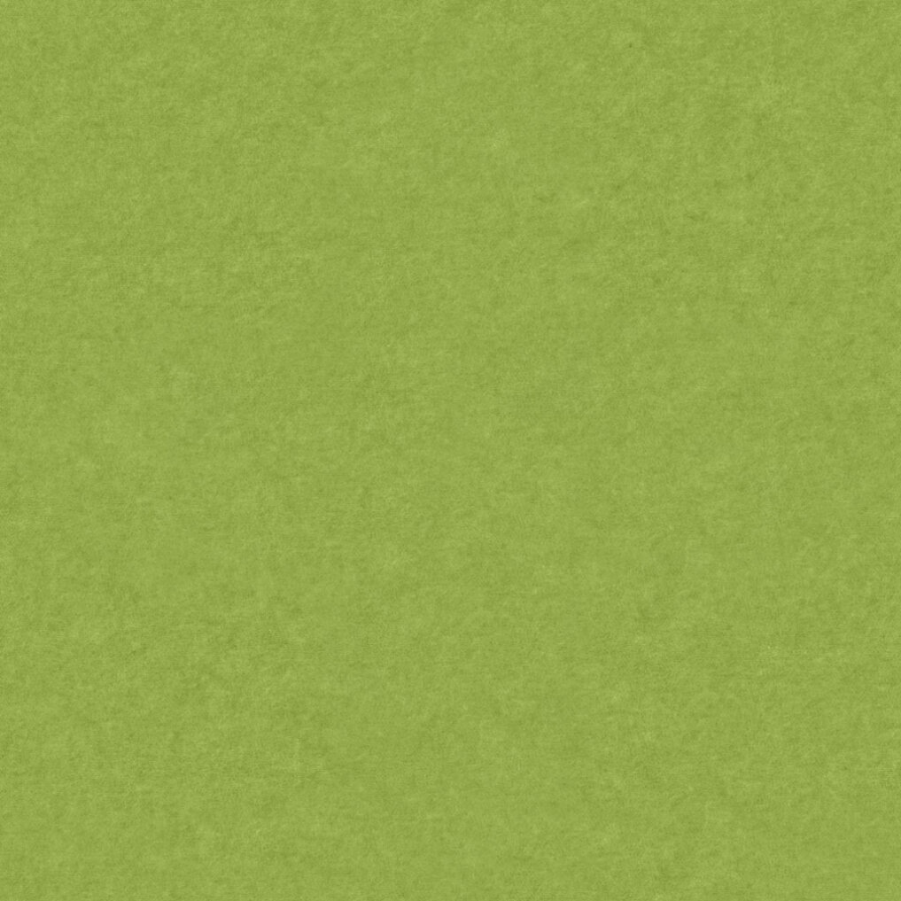 PM843 Spring Green Standard