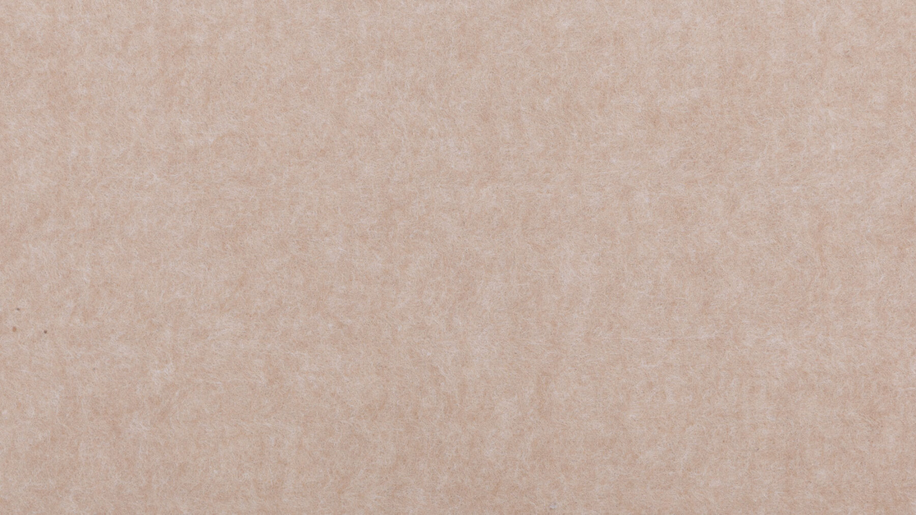 xxPM922 Camel Ext