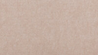 xxPM922 Camel Ext