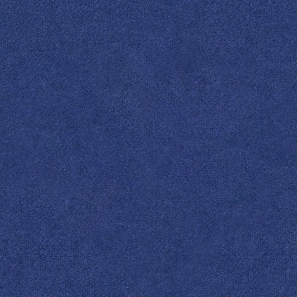 PM901 Ocean Extended