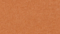 PM936 Sienna Trend