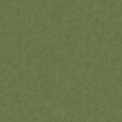 PM934 Thyme Extended