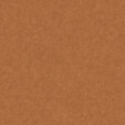 PM936 Sienna Extended