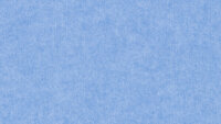 PM814 Light
Blue Standard