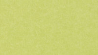 PM843 Spring Green Standard