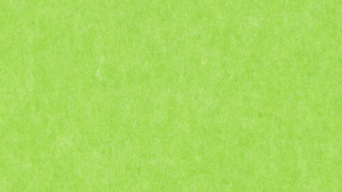 vitAcoustic PET Akustikplatten für Duo Verklebung - Platte aus Rohmaß 2800x1225x12mm PM851 Green Standard