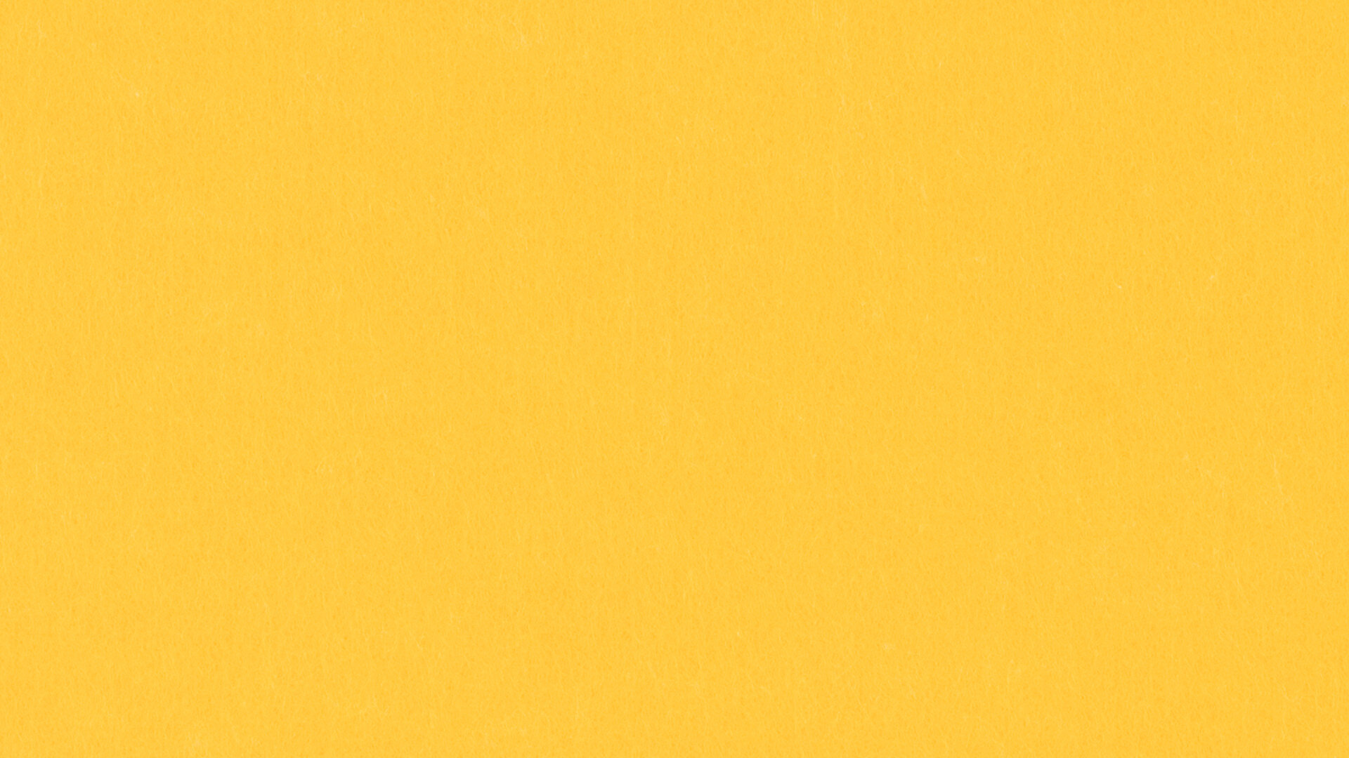 PM805 Yellow Standard