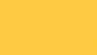 PM805 Yellow Standard