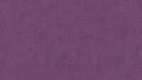 PM850 Purple Standard