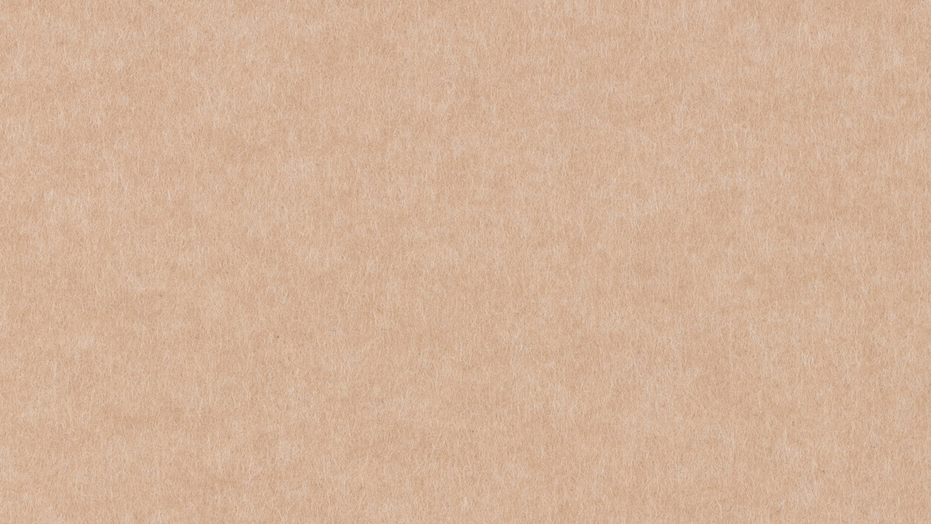 PM844 Sepia Standard