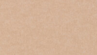 PM844 Sepia Standard