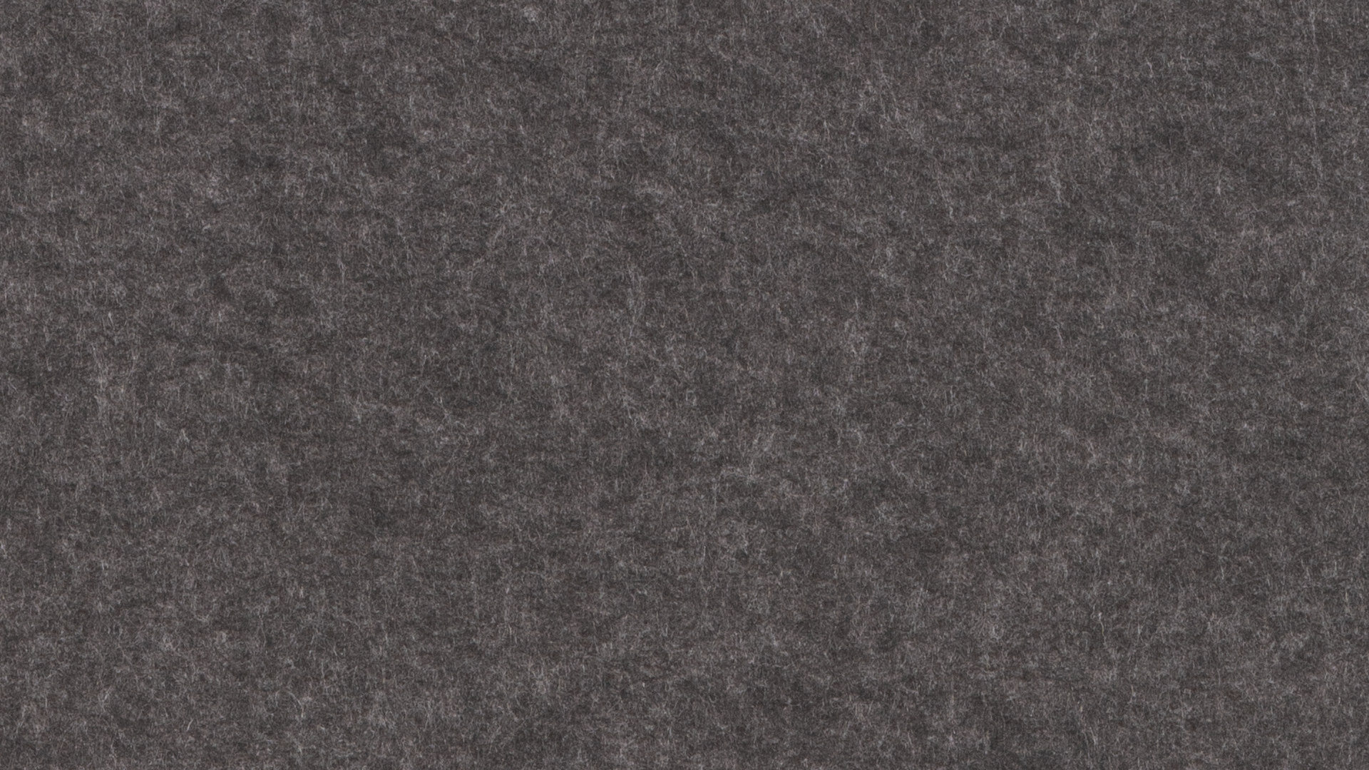 PM914 Carob Extended