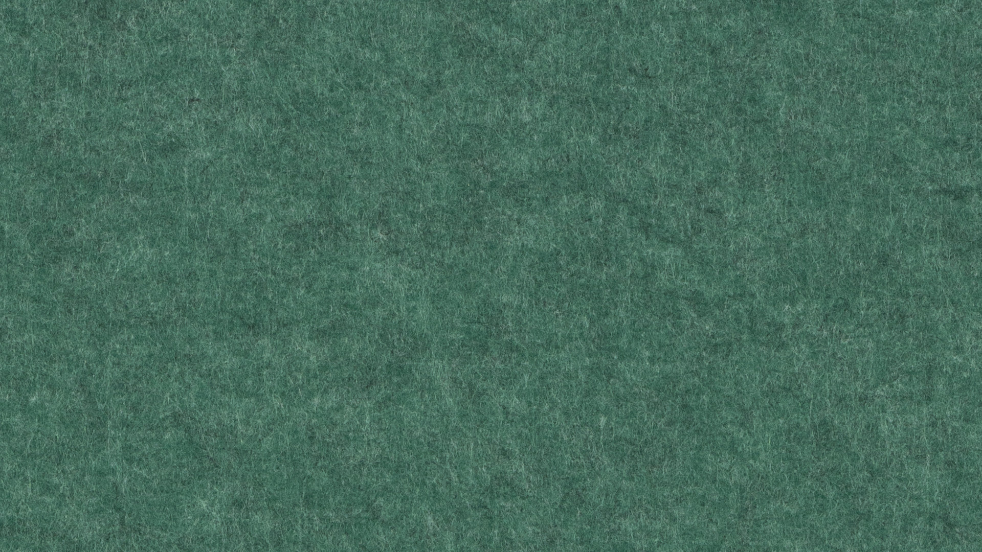 PM930 Ever-green Trend