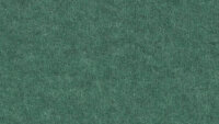 PM930 Ever-green Trend
