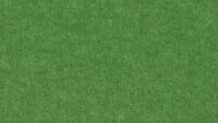 PM946 Jade green Production