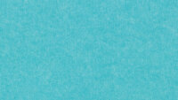 PM951 Turquoise Extended