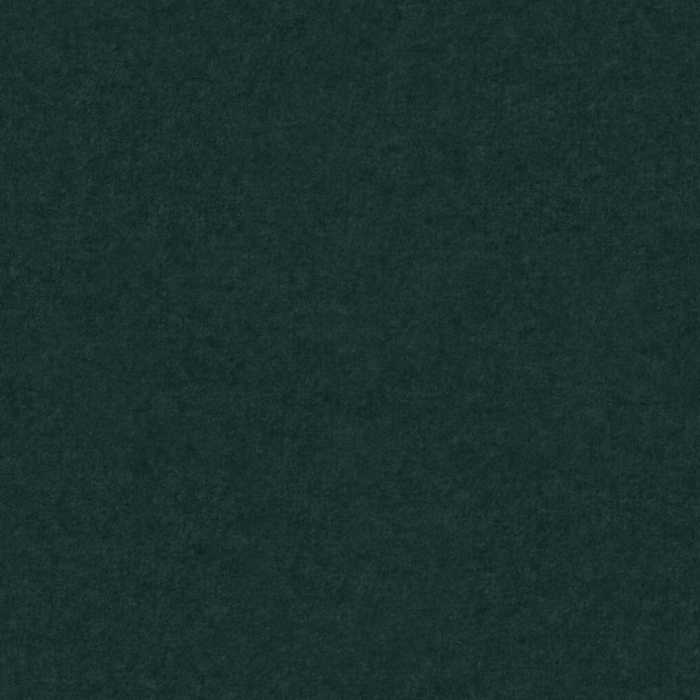 PM817 Fern Production