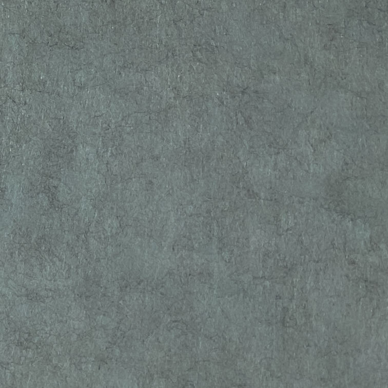 PM930 Ever-green Trend