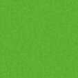 PM851 Green Extended