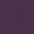 PM850 Purple Extended