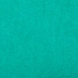 PM951 Turquoise Extended