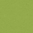 PM843 Spring Green Standard