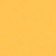PM805 Yellow Standard