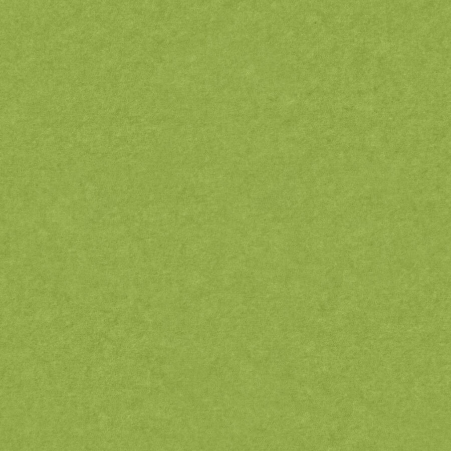 PM843 Spring Green Standard