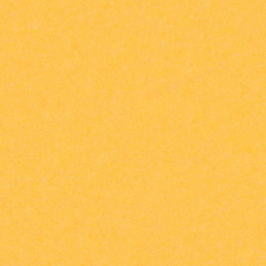 PM805 Yellow Standard